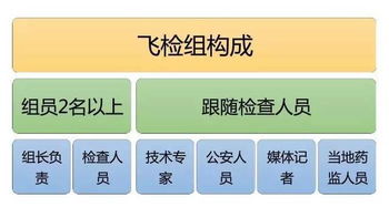 圖解藥店飛檢全過程 數字內容如何讓監管與服務更高效