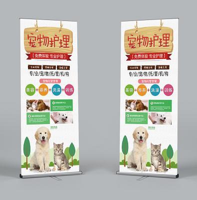寵物零食新藍海 創業掘金，服務先行