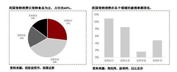 中國寵物經濟爆發，寵物咬膠ODM龍頭進軍國內市場 寵物服務的全新布局